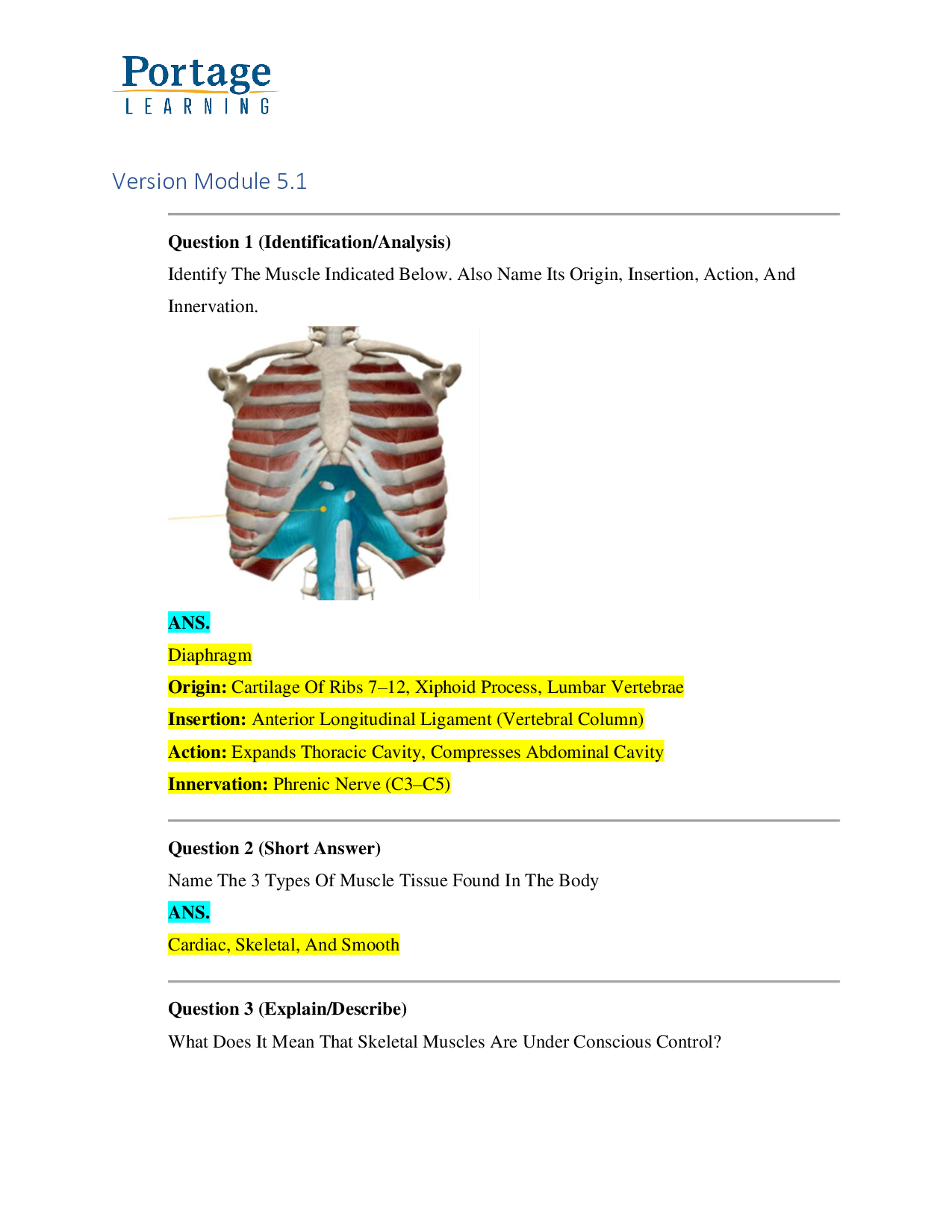 Preview page 2