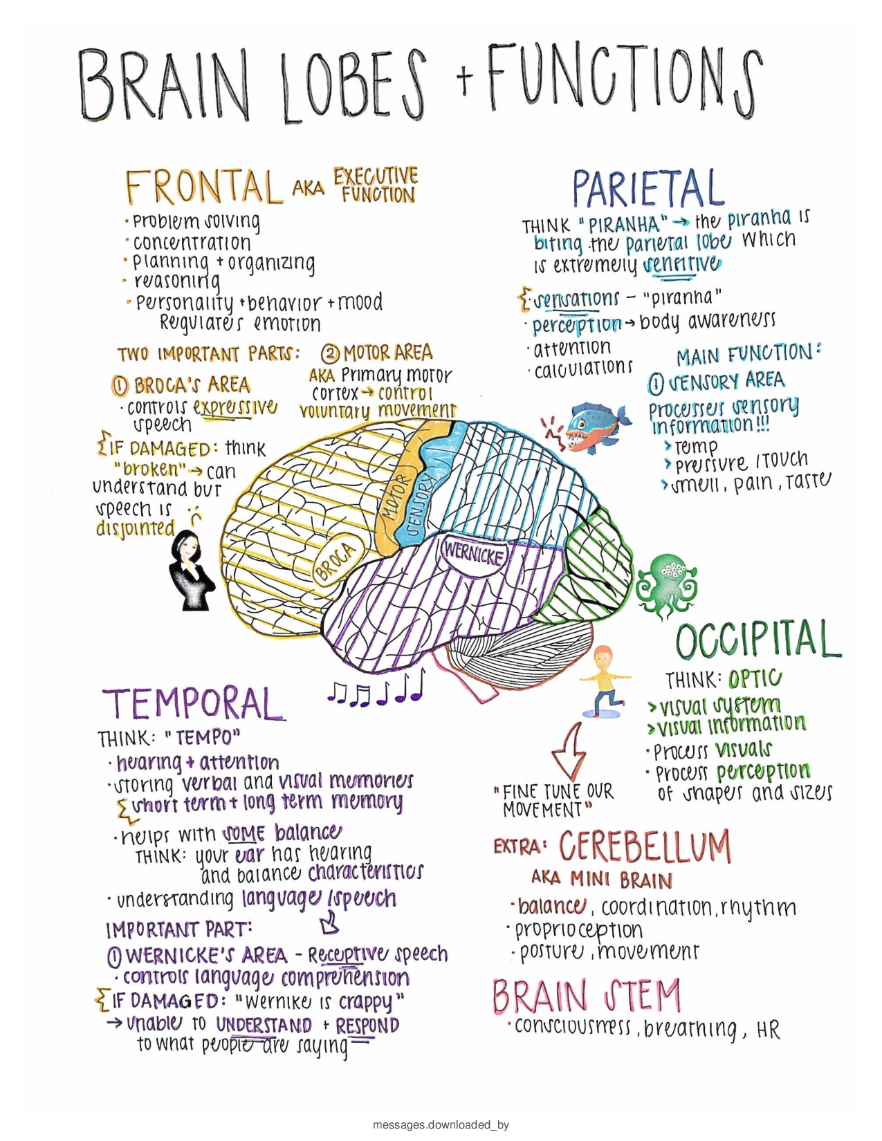 NIH Stroke Scale  Neuro Exam Study Notes NEURO 101