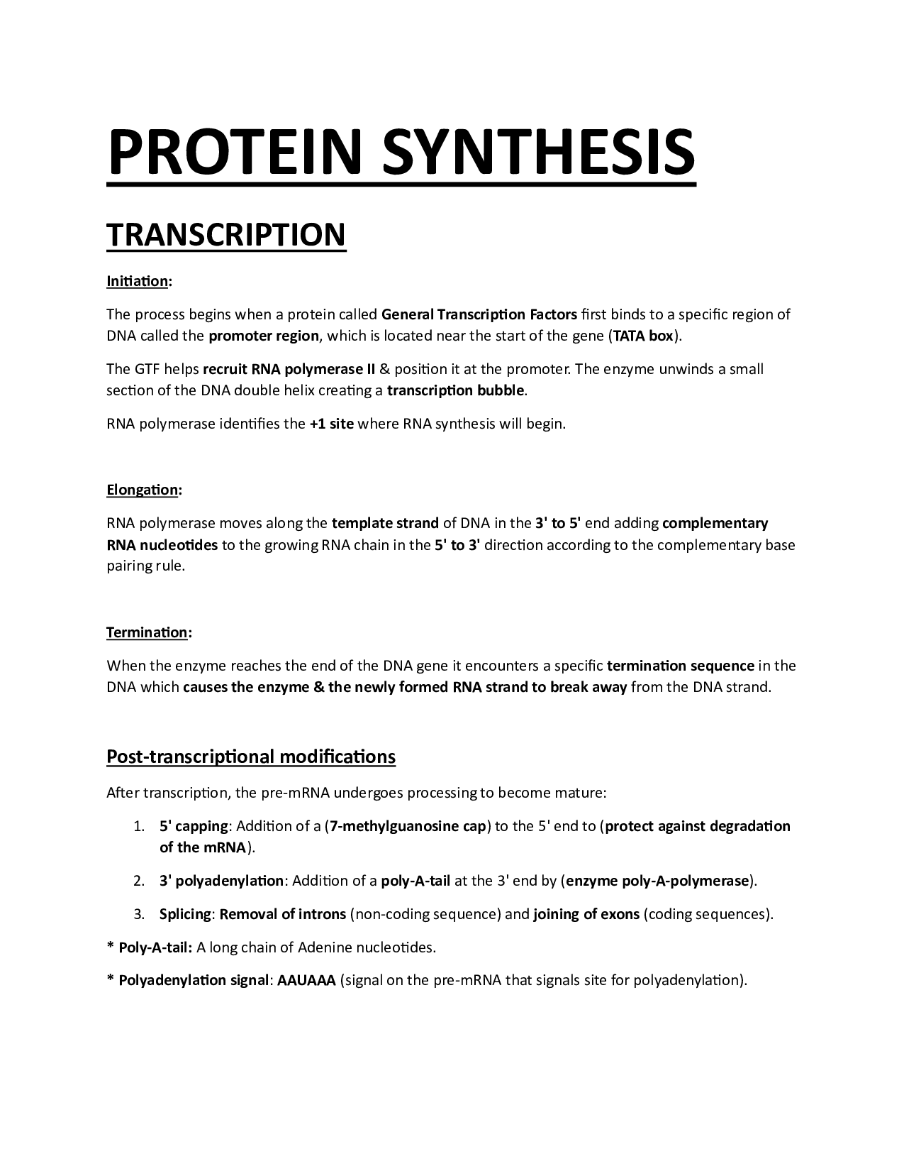 PROTEIN SYNTHESIS: Detailed Study Notes On The Stages Of Protein Synthesis