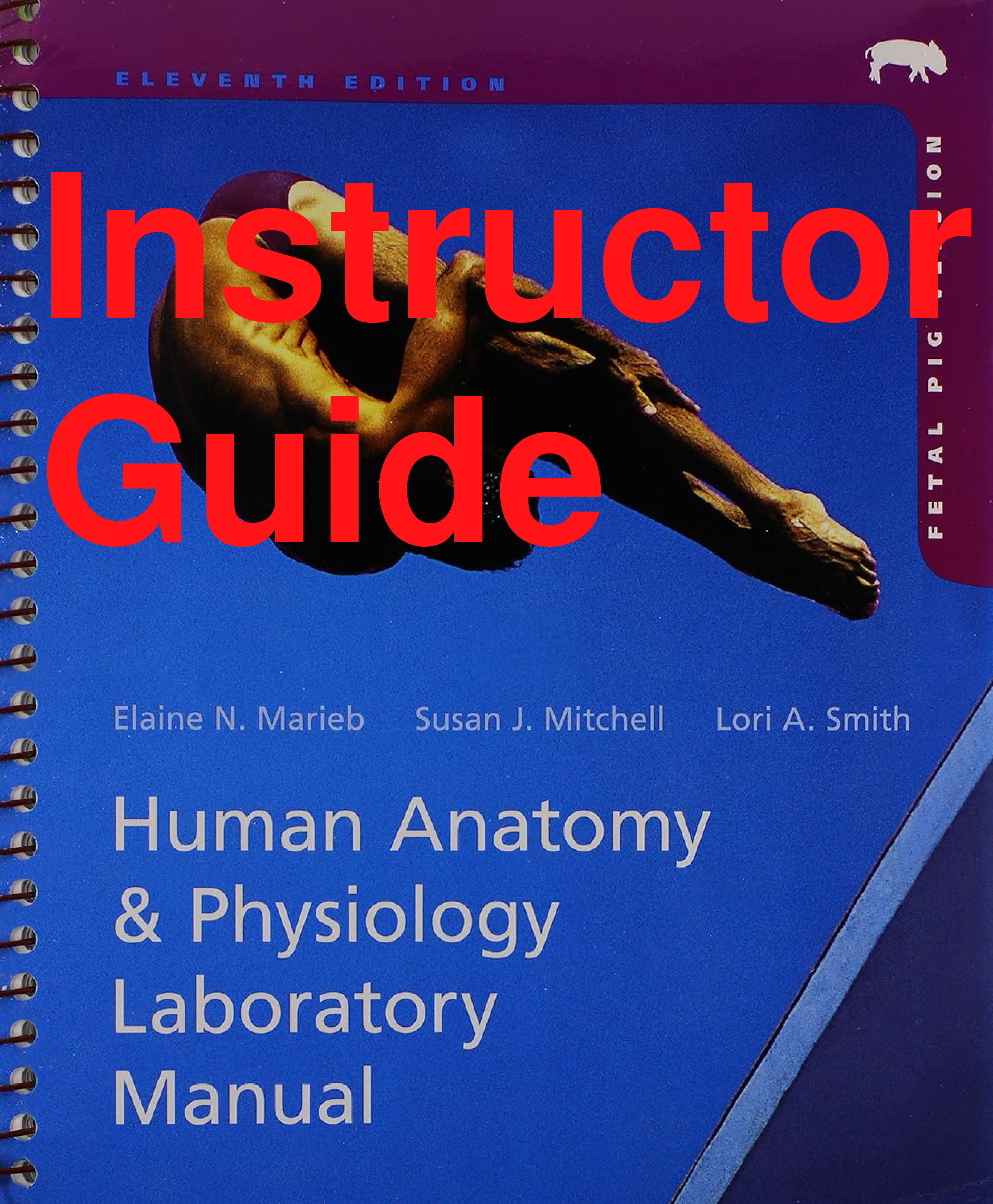 Instructor Guide Human Anatomy & Physiology Laboratory Manual 11th Edition By Elaine Marieb, Susan Mitchell, Lori Smith