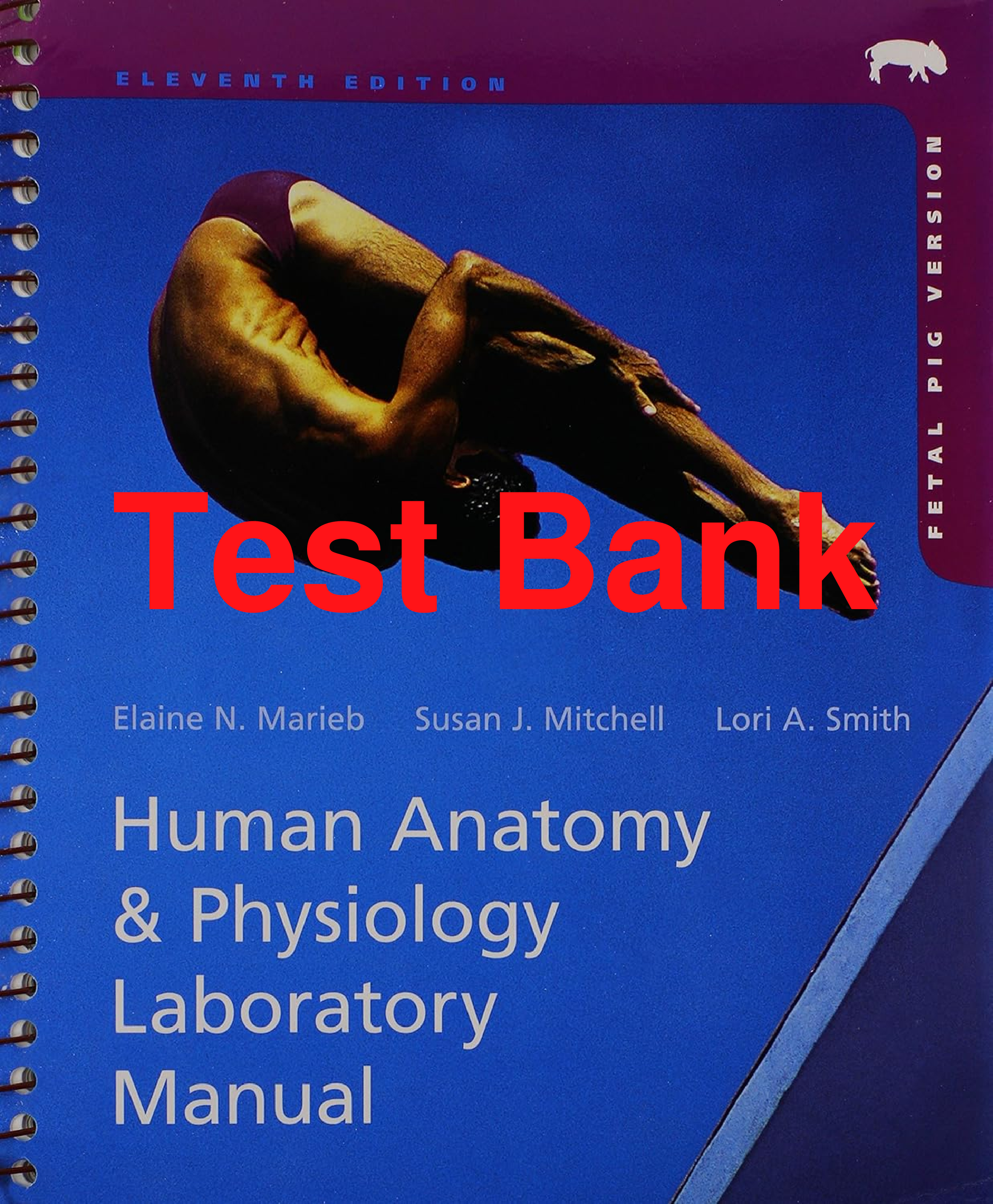 Test Bank Human Anatomy & Physiology Laboratory Manual Fetal 11th Edition By Elaine Marieb, Susan Mitchell, Lori Smith