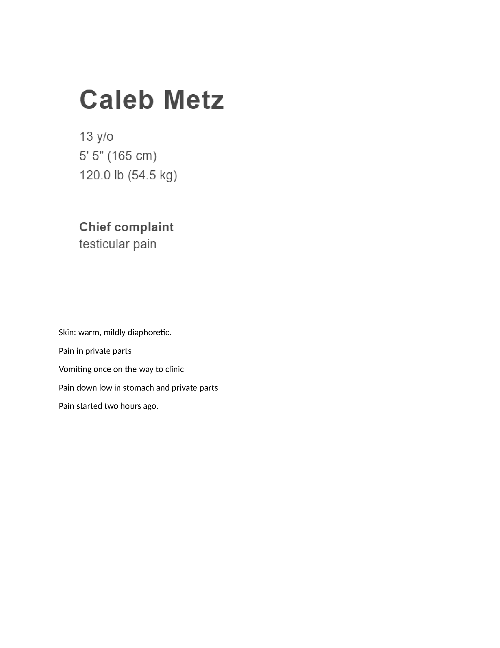 Caleb Metz ihuman Case Study Graded A+