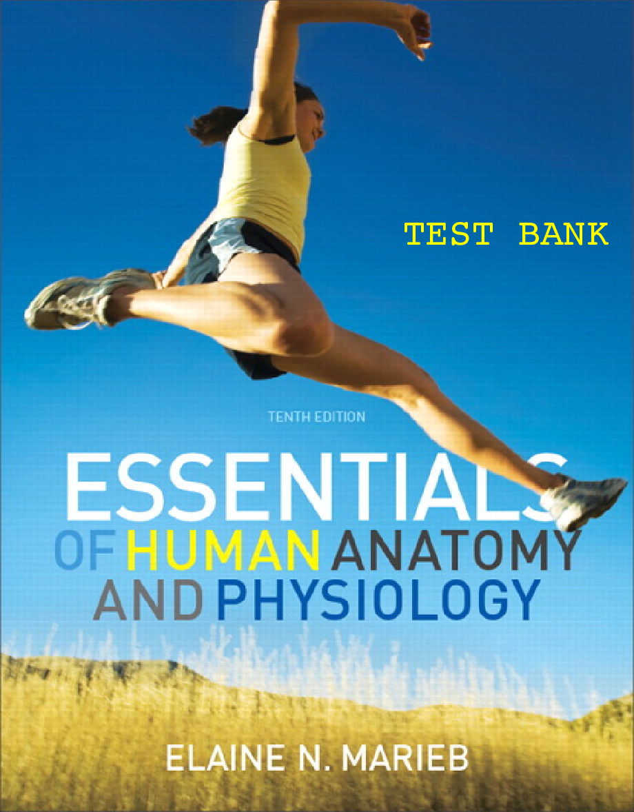 Test Bank for Essentials of Human Anatomy and Physiology 10th Edition by Elaine N. Marieb ISBN-13 9780321720412