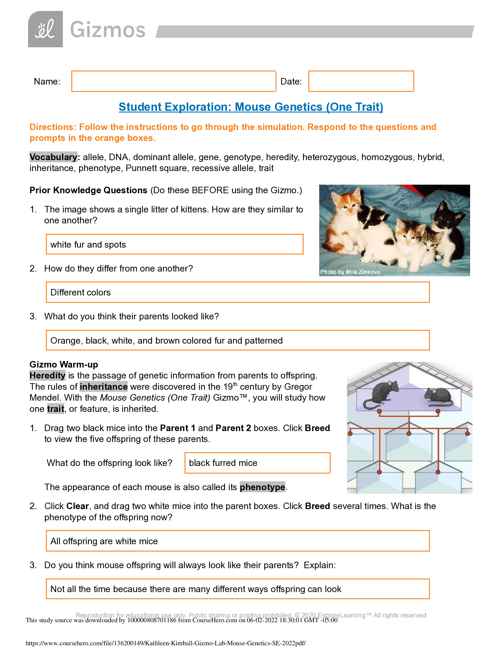 Gizmos -Mouse Genetics (One Trait) - answer key 2022