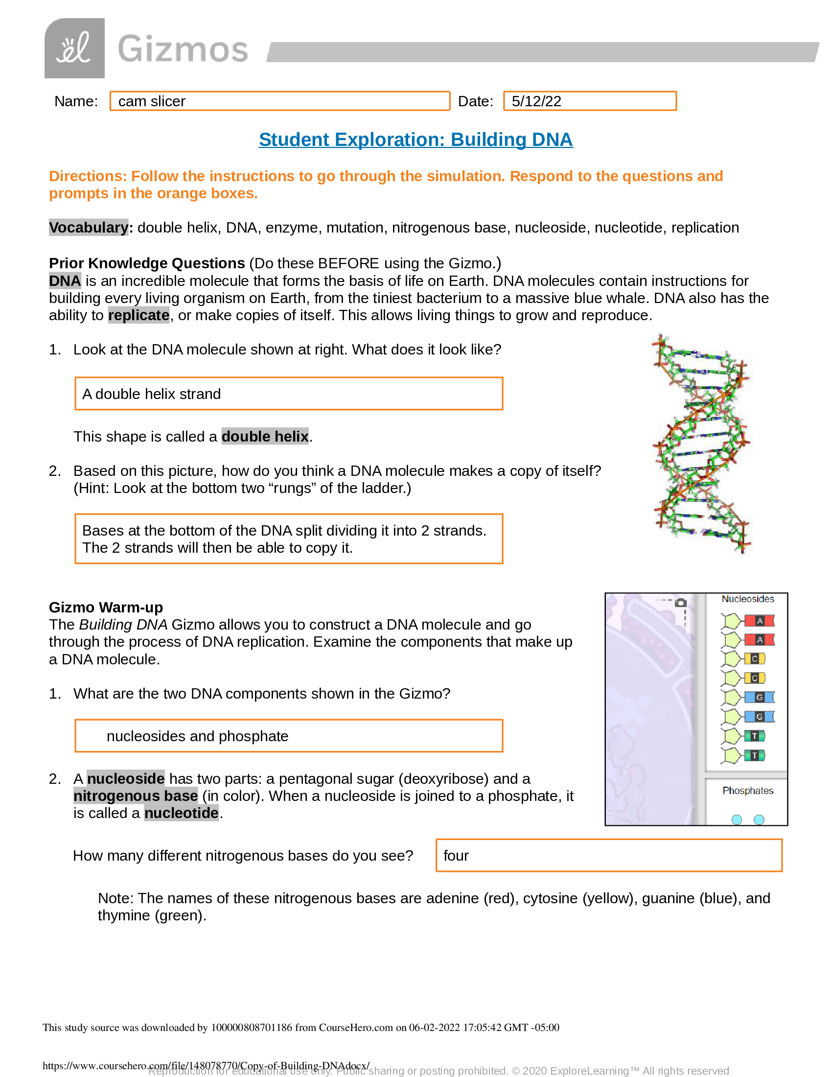 Gizmos -Copy of Building DNA - complete worksheet 2022