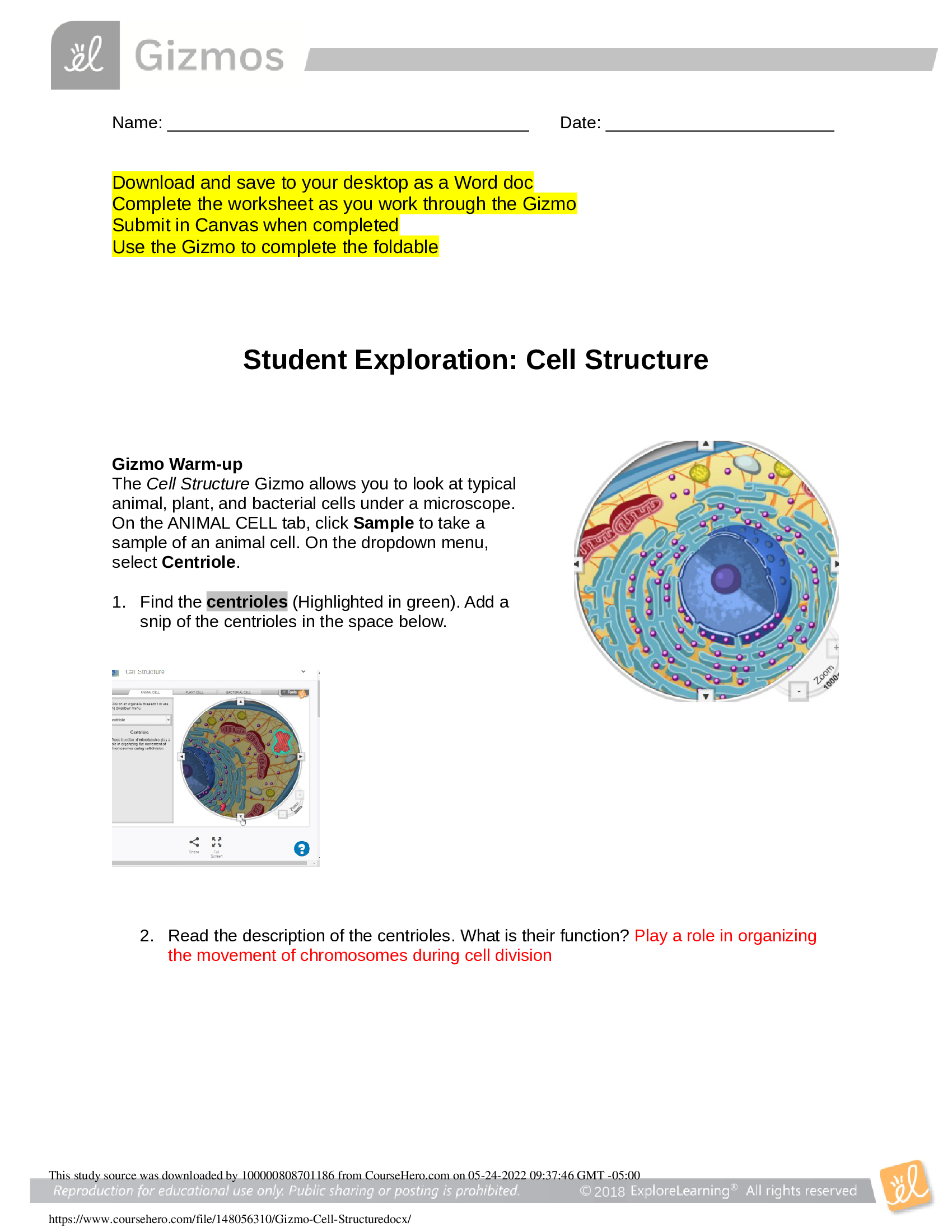 Gizmos Cell Structure Worksheet answers (updated answer key) 2022