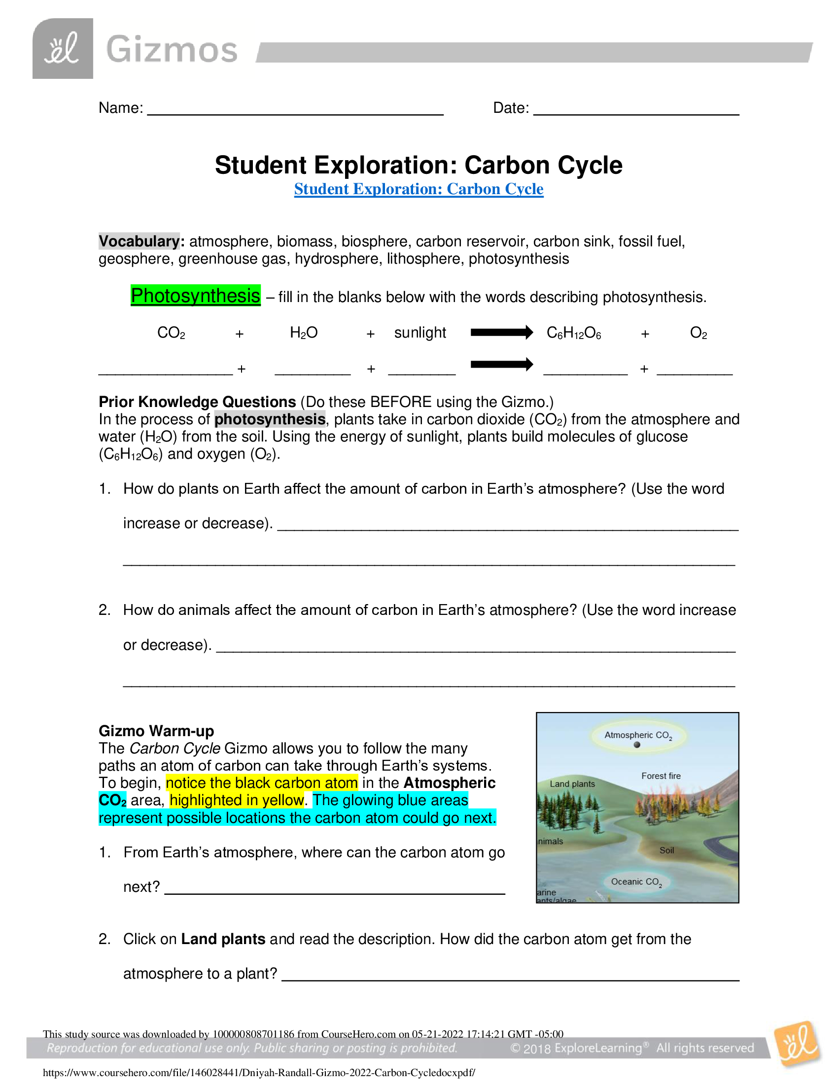 GIZMO CARBON CYCLE 2022 [TOP RATED]