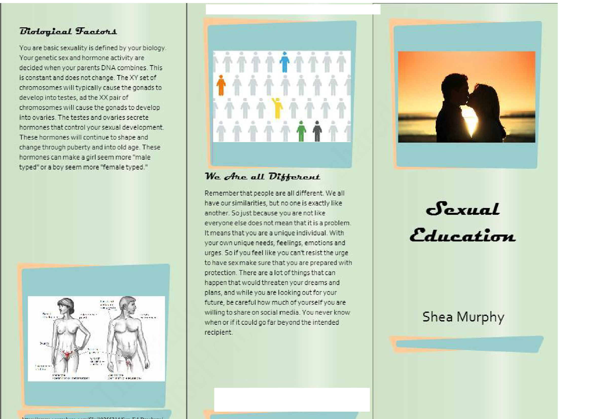 PSY 201 Sex Ed Brochure 2020