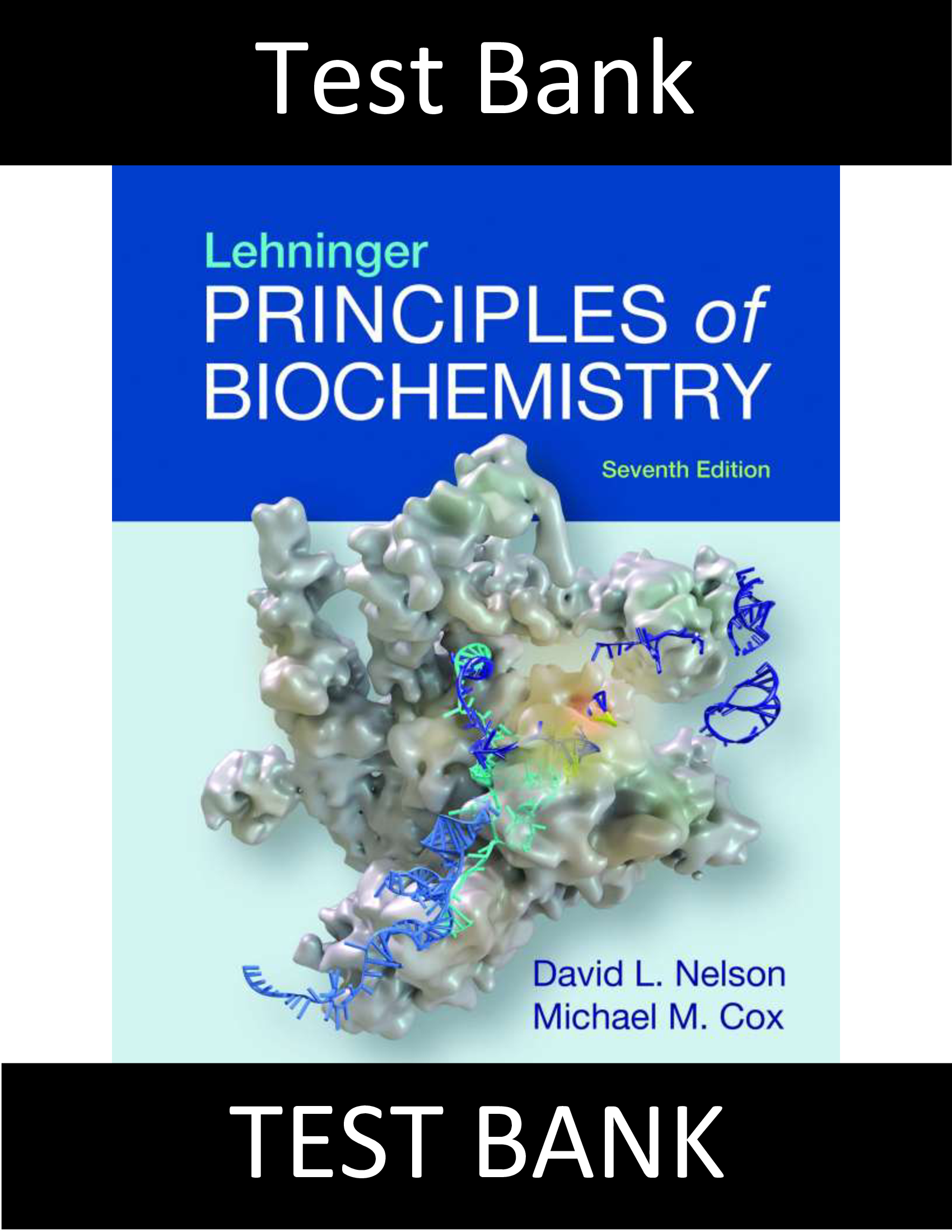 Test Bank for Lehninger Principles of Biochemistry 7th Edition Nelson
