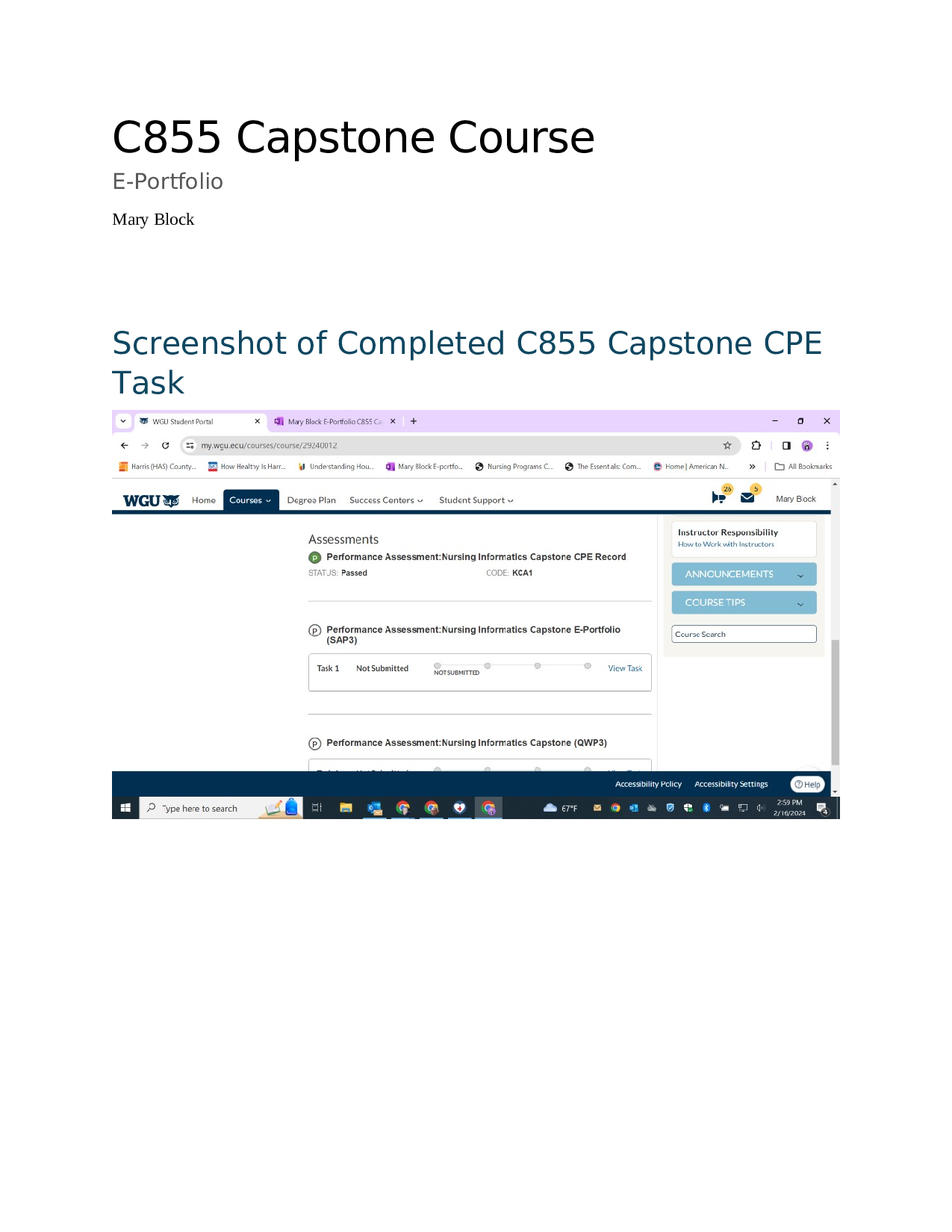 C855 Capstone E-Portfolio, C855 Capstone Course (CPE Task) User Experience & Professional Development Insights 2026