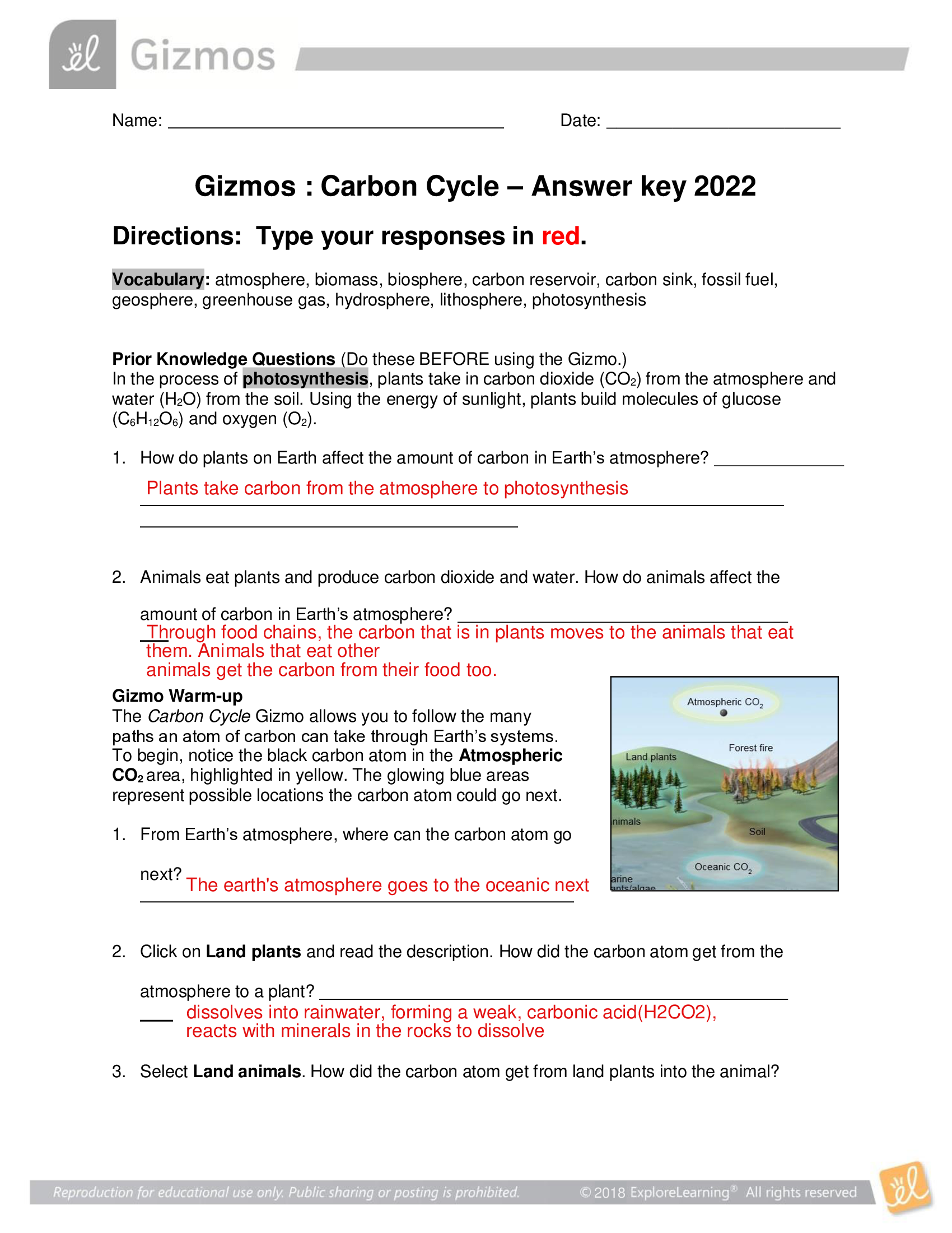 Gizmos, Carbon Cycle Answer key 2022