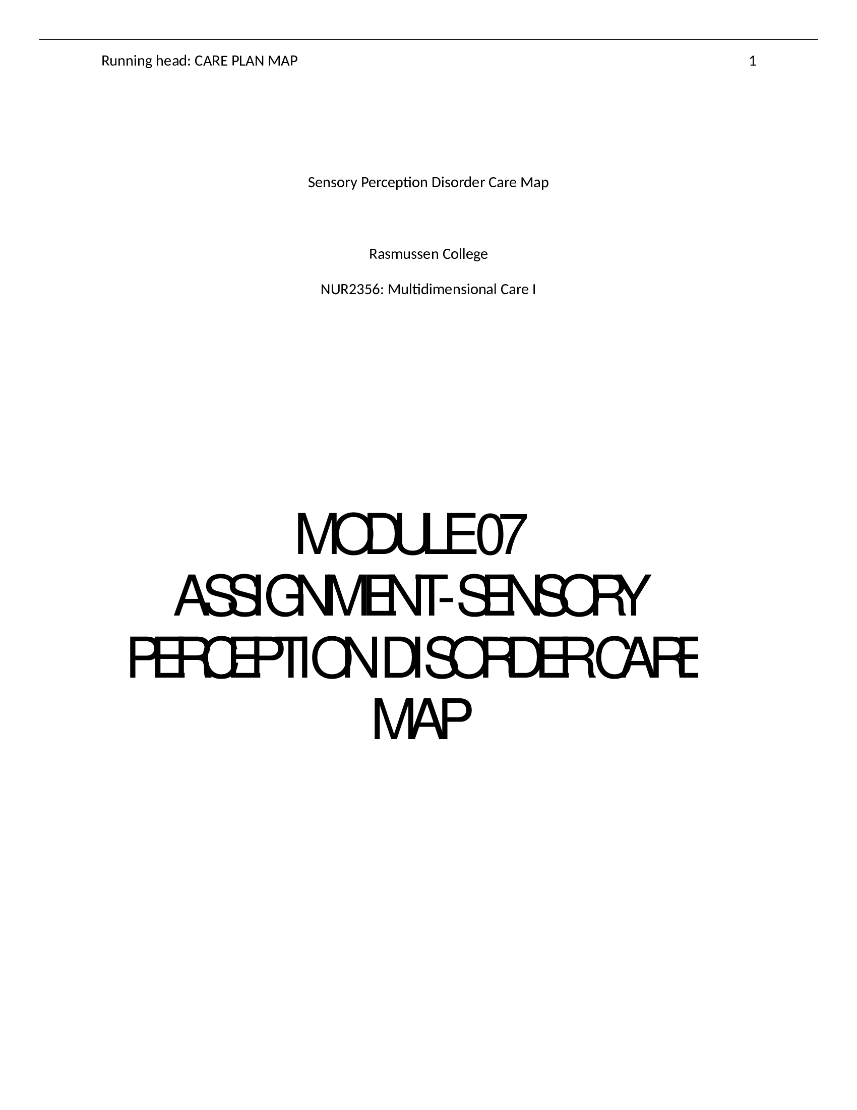MODULE 07 ASSIGNMENT-SENSORY PERCEPTION DISORDER CARE MAP