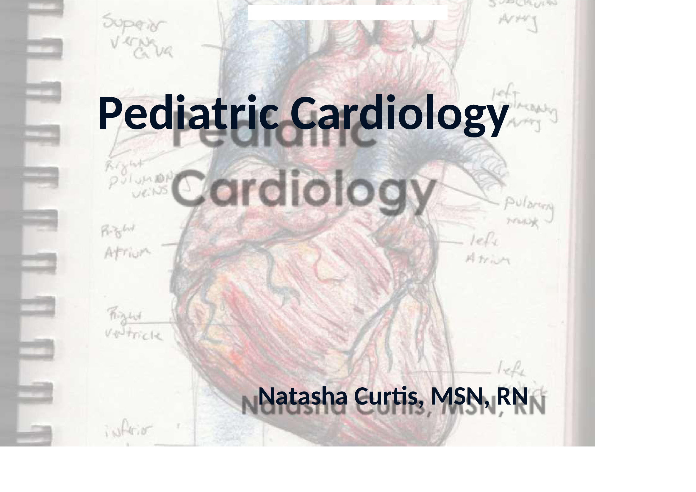 Pediatric Cardiology. How the heart fucntions. Well explained in details and in diagrams