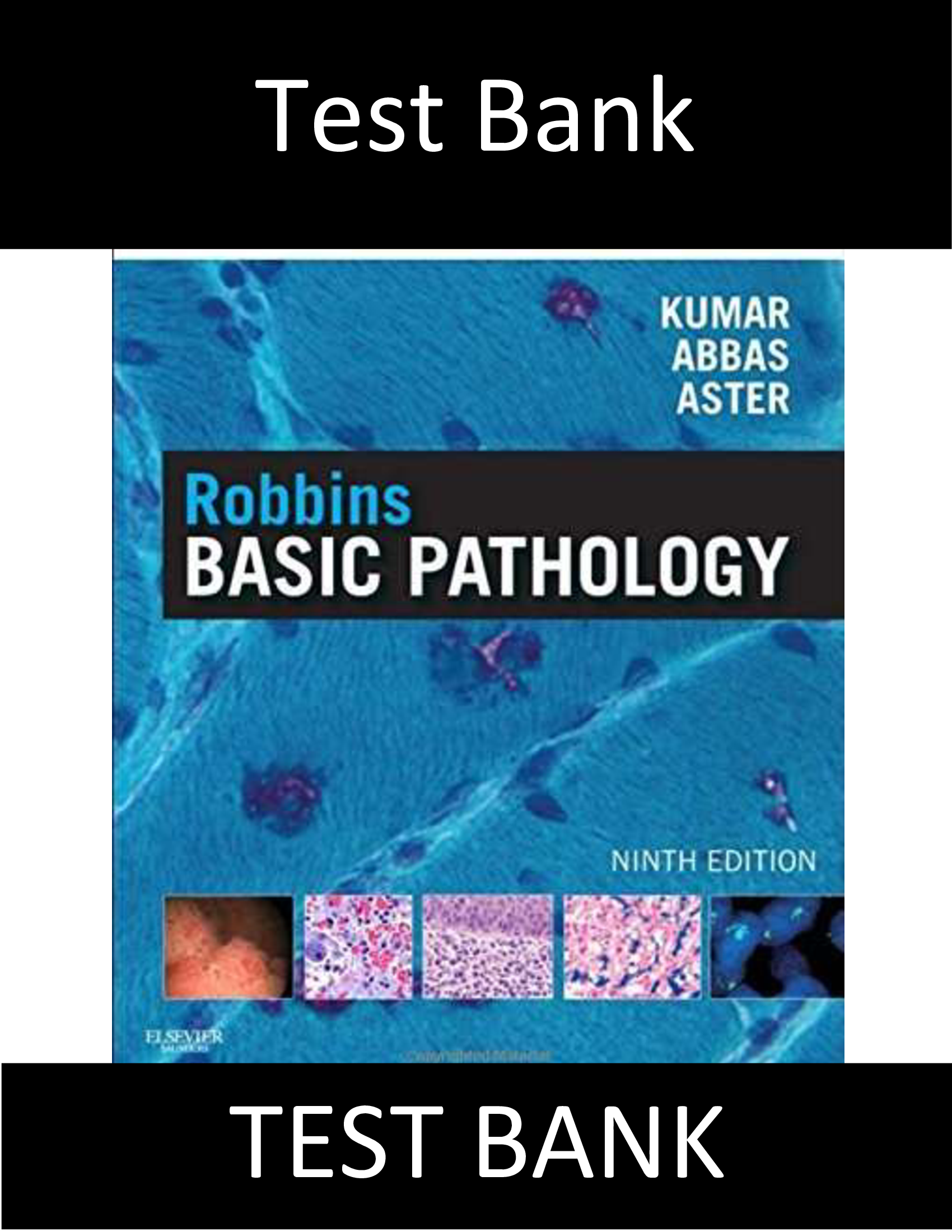 Test Bank for Robbins Basic Pathology 9th Edition Kumar