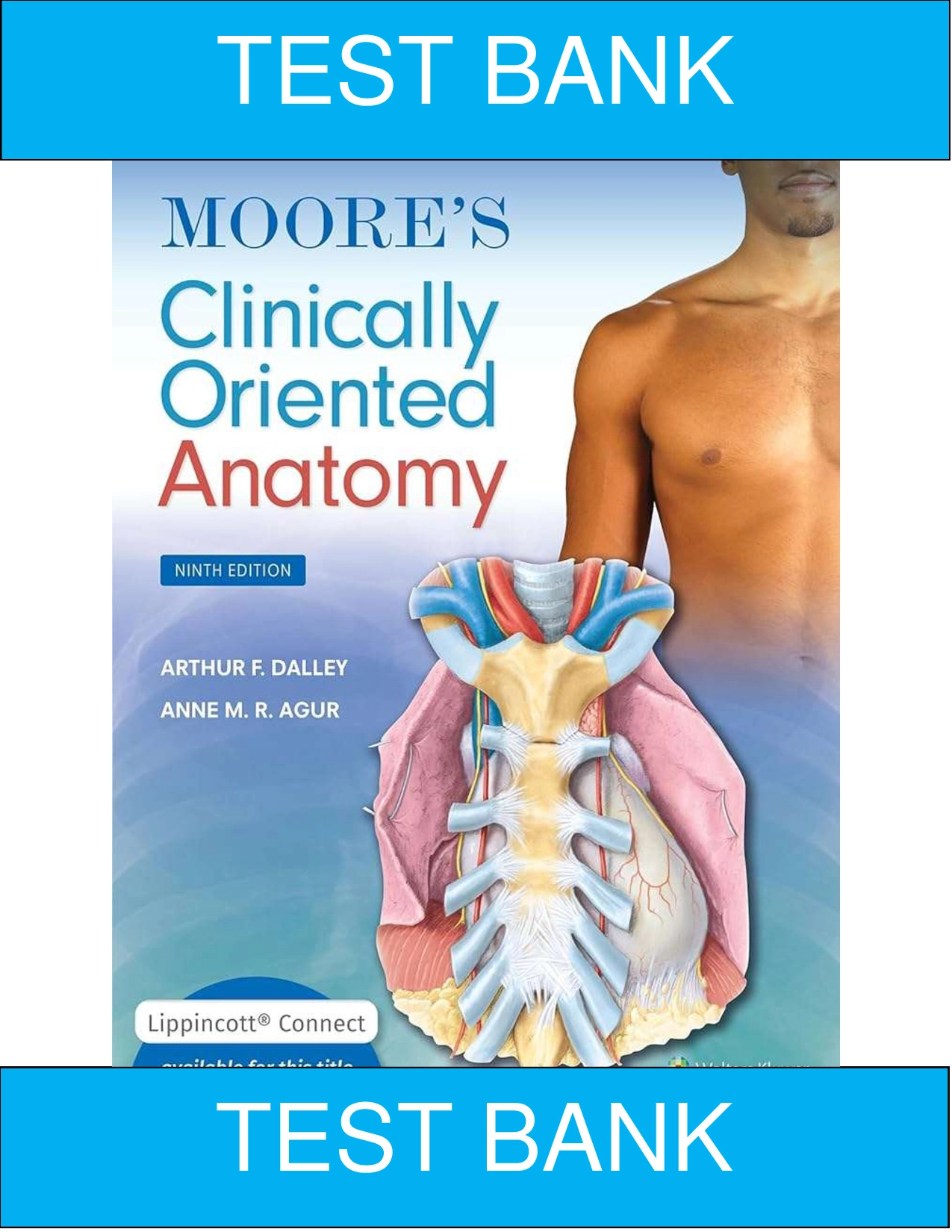 Complete Test Bank: Moore’s Clinically Oriented Anatomy 9th Ed — All Sections, Updated Content & Verified Solutions