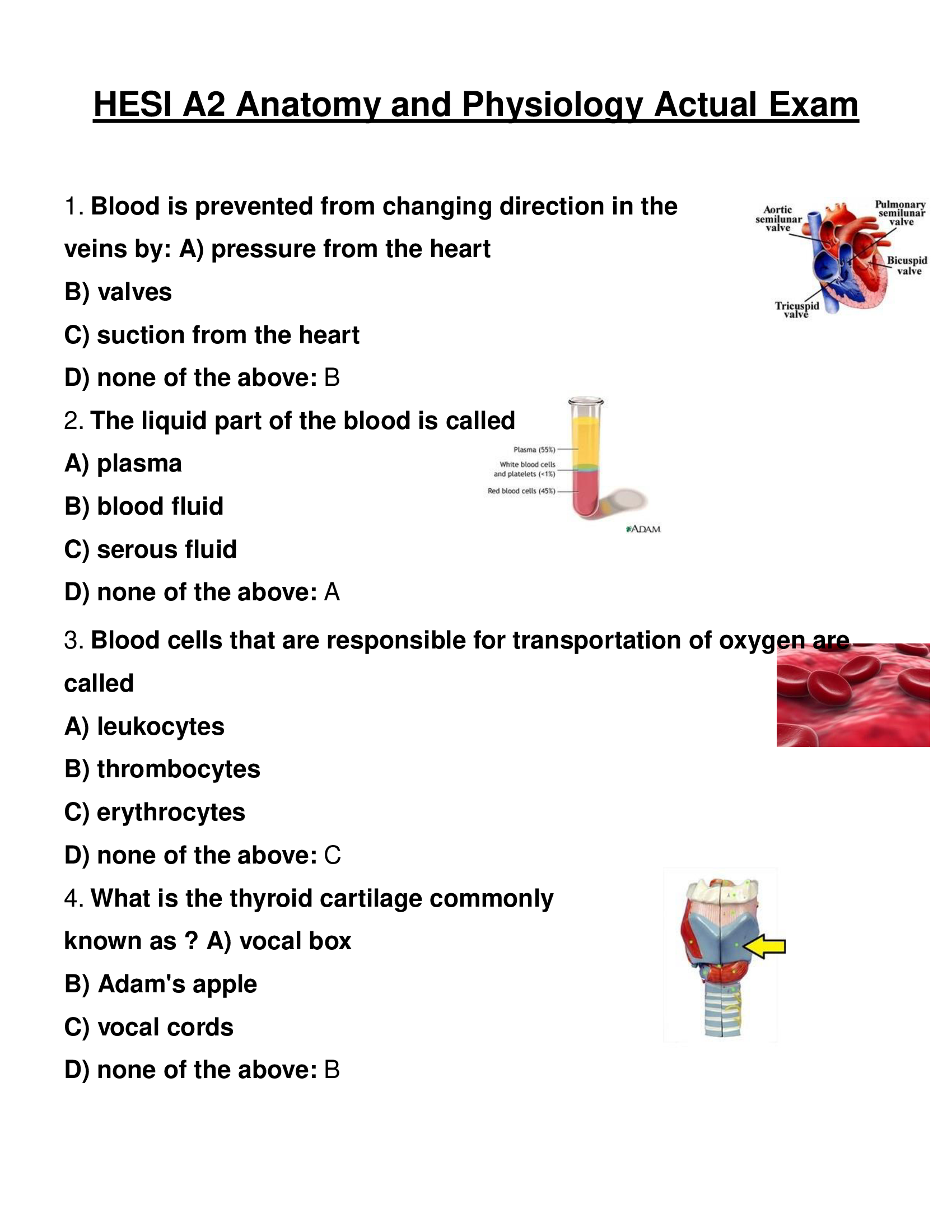 HESI A2 Anatomy and Physiology Actual 2024 Exam