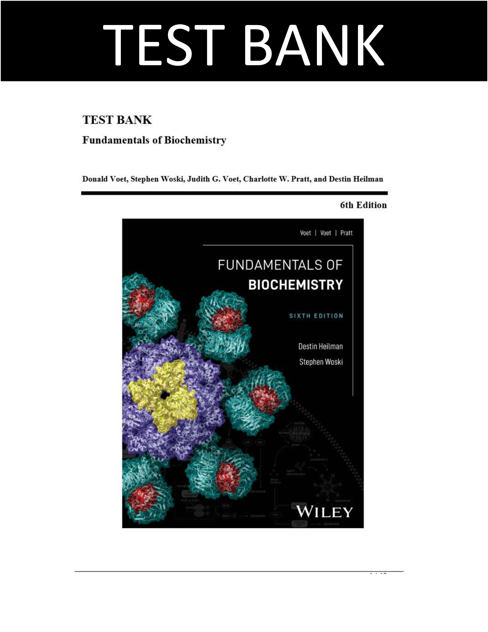 Test Bank for Voet, Fundamentals of Biochemistry, 6th Edition by Destin Heilman, Stephen Woski