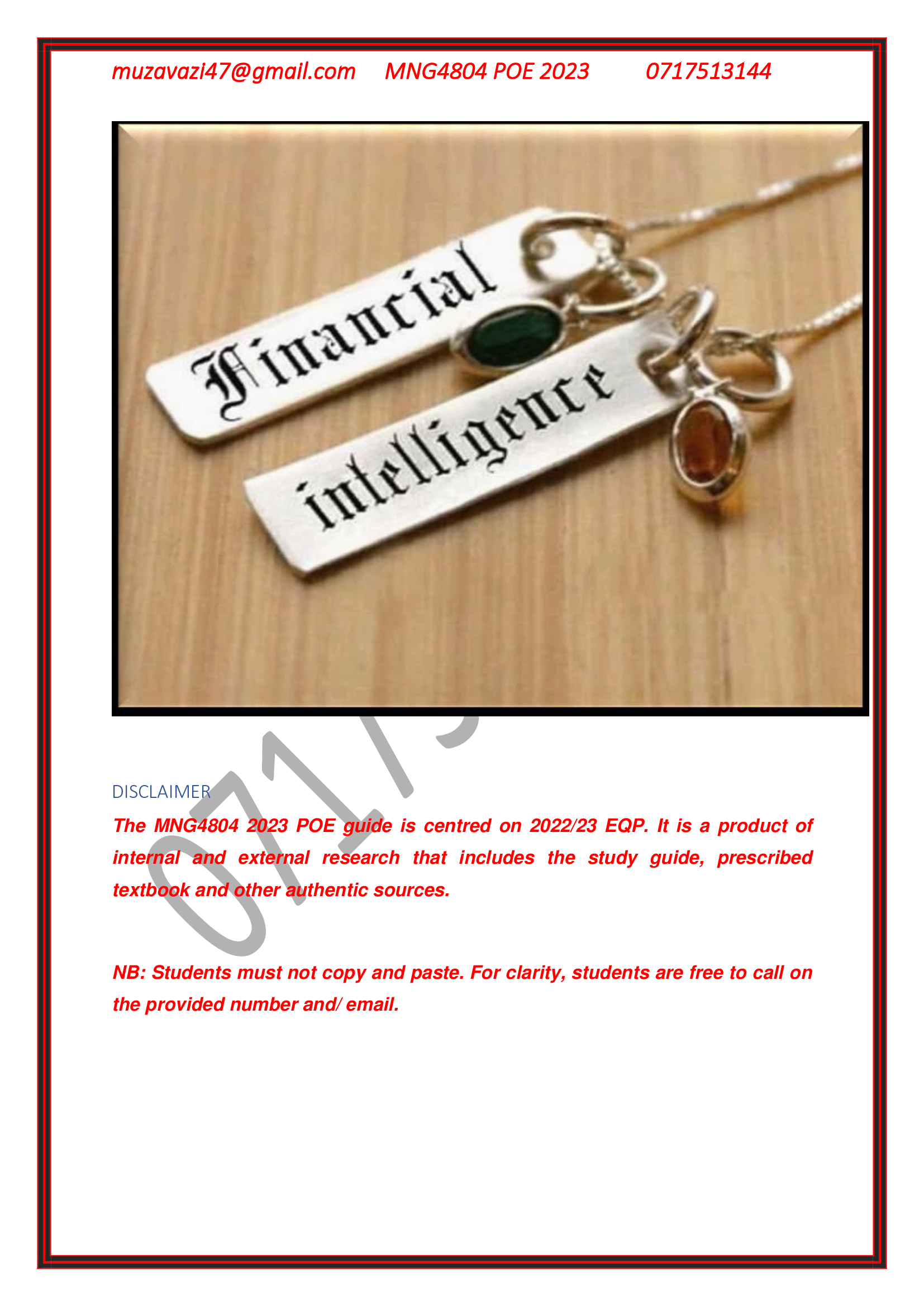 INTERNATIONAL BUSINESS (MNG4804)