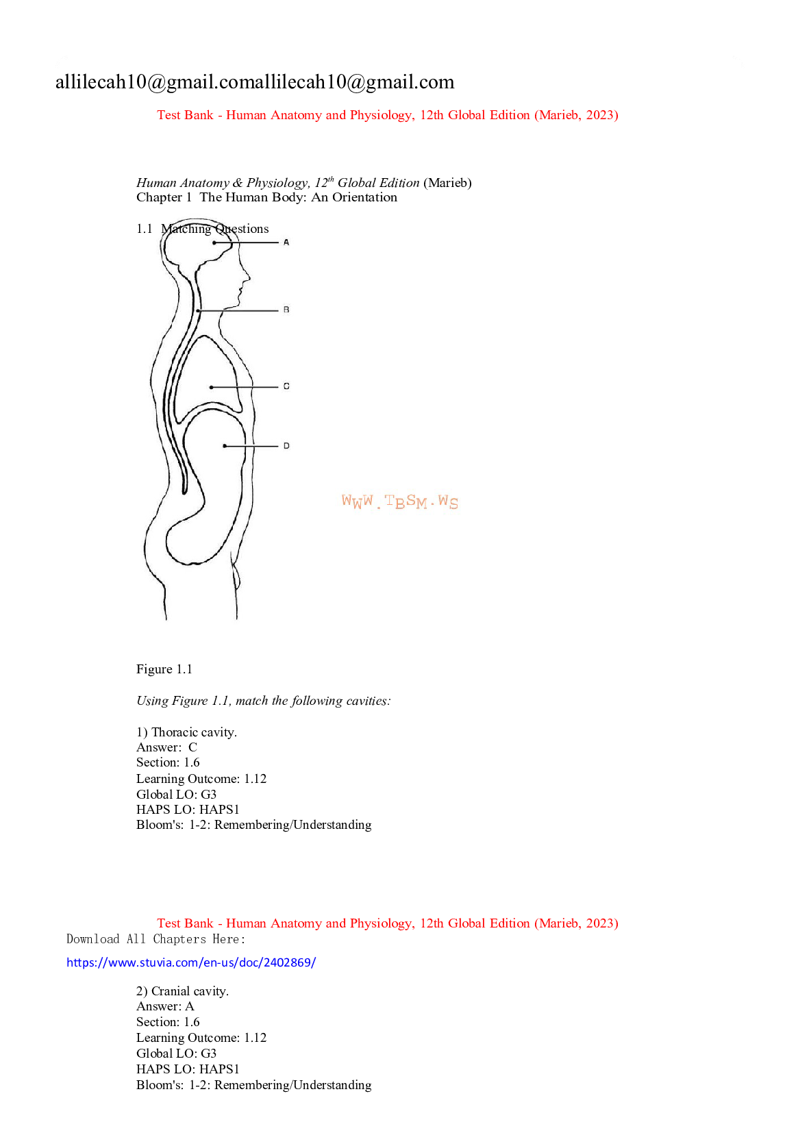 Test bank human anatomy and physiology 12th global edition marieb 2023-2024 Latest Update