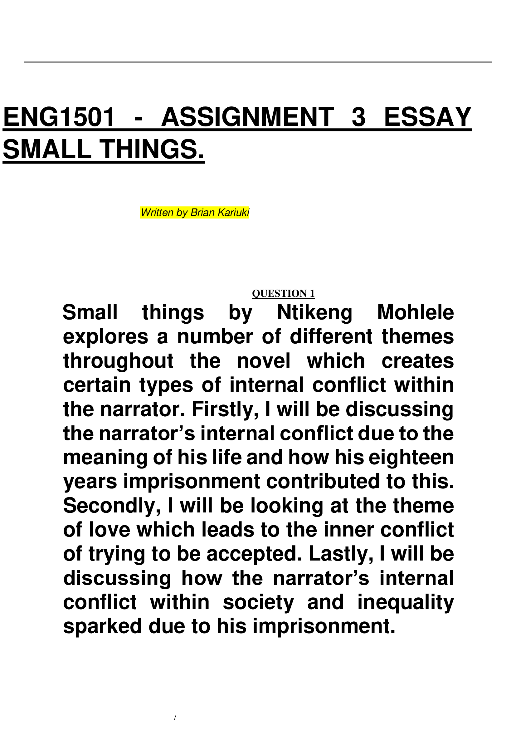 ENG1501 - ASSIGNMENT 3 ESSAY  SMALL THINGS.