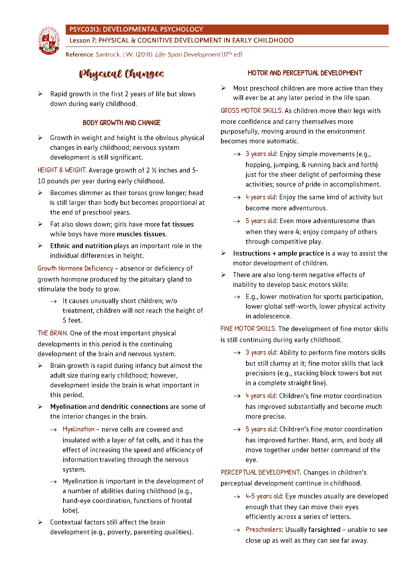 Developmental Psychology - Physical and Cognitive Development in Early Childhood